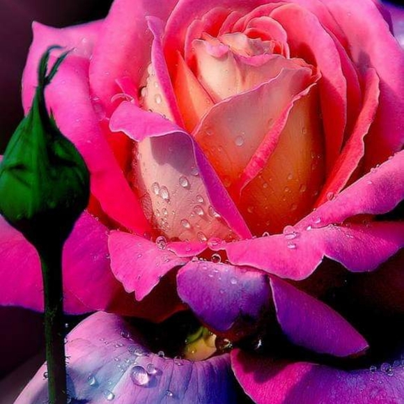 Trying to get stuff - Picture 4 of 4